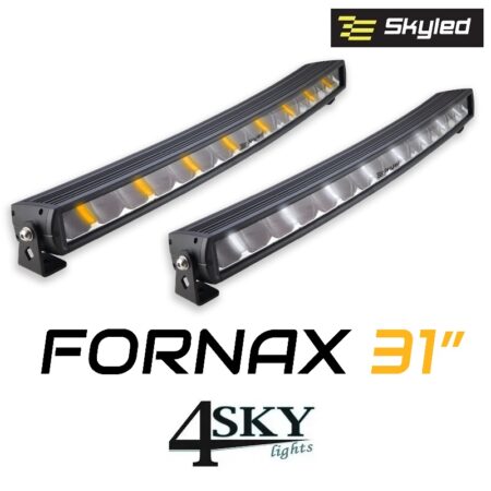 Fornax 31 skyled