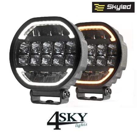 SKYLED SCALLOP 7X